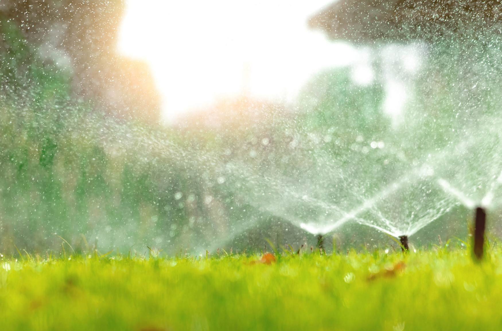 Sprinkler system with green grass
