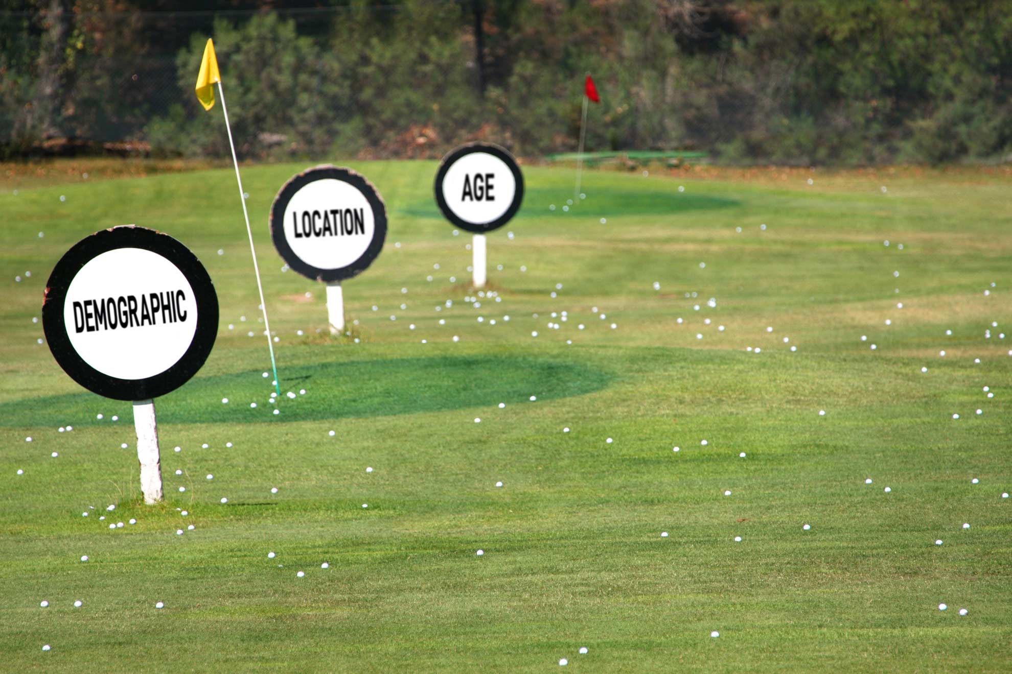 Demographic, location & age targeting on social media