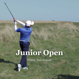 Organic social media for goswick links